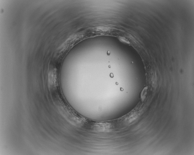 X0000054390328200508011259