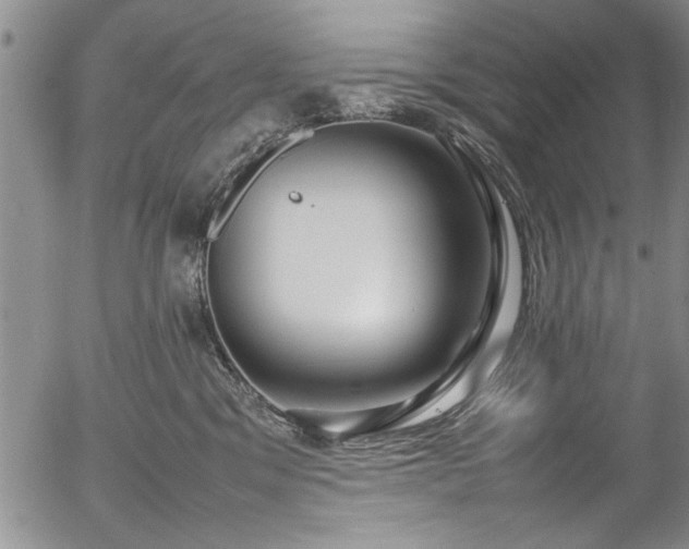 X0000054390329200508011259