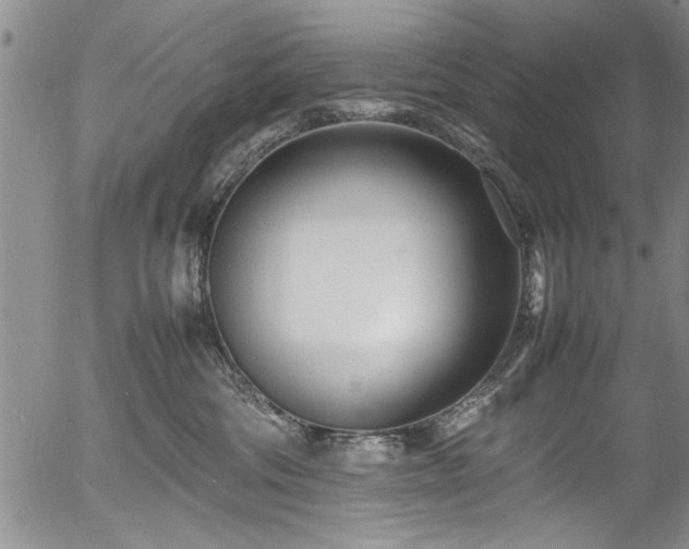 X0000054390330200508011259