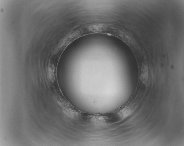 X0000054390332200508011259