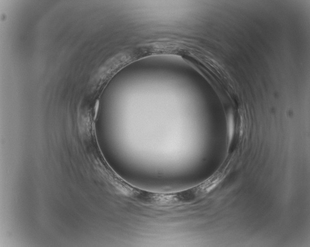 X0000054390333200508011259