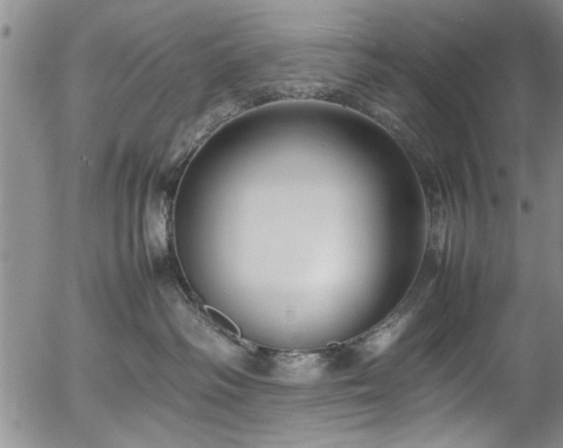 X0000054390334200508011259