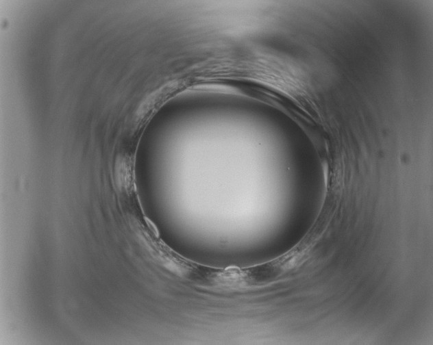 X0000054390335200508011259