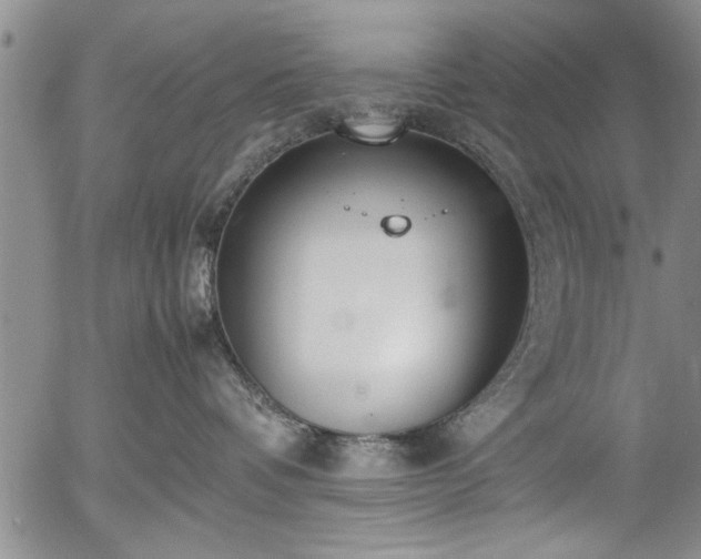 X0000054390336200508011259