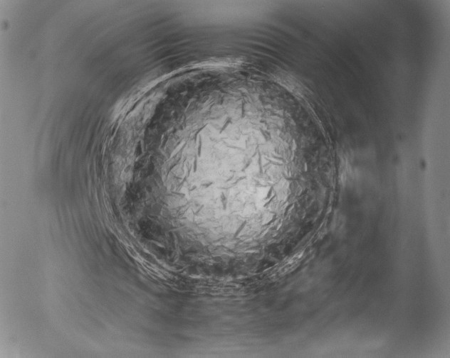 X0000054390337200508011259