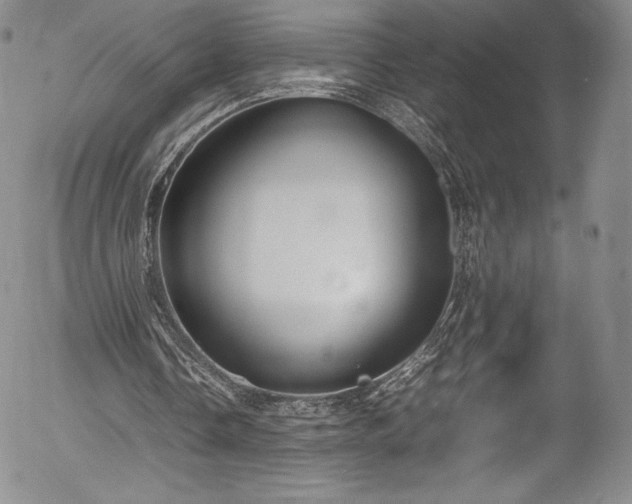 X0000054390338200508011259