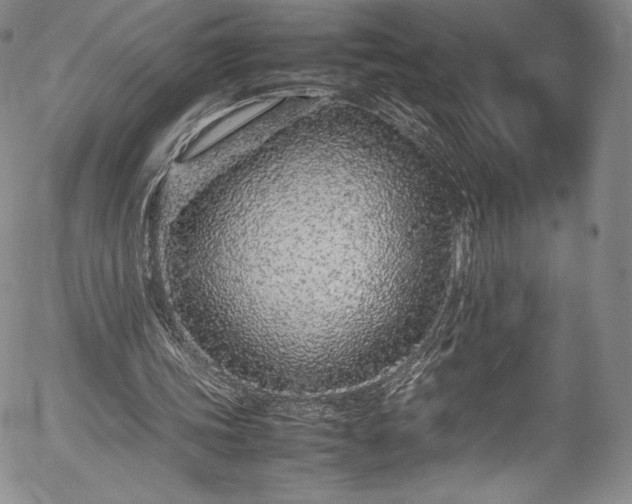 X0000054390339200508011259