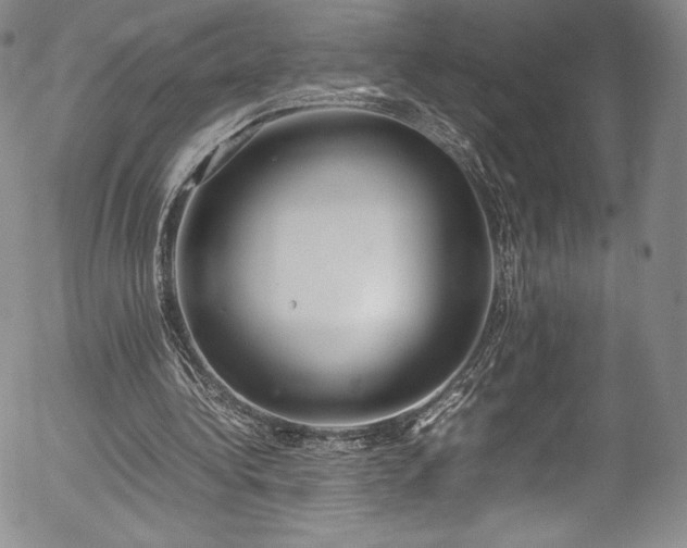 X0000054390340200508011259