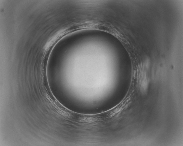 X0000054390341200508011259