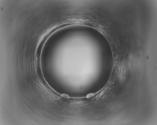 X0000054390342200508011259