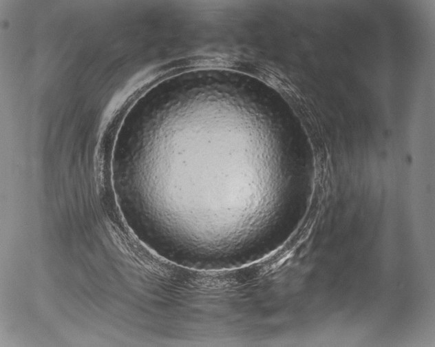 X0000054390343200508011259