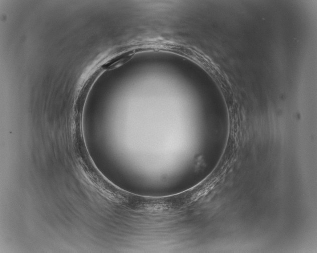 X0000054390344200508011259