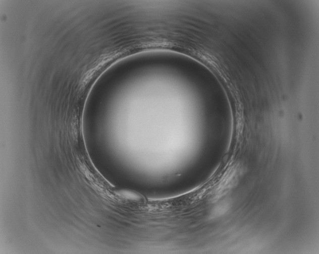 X0000054390345200508011259