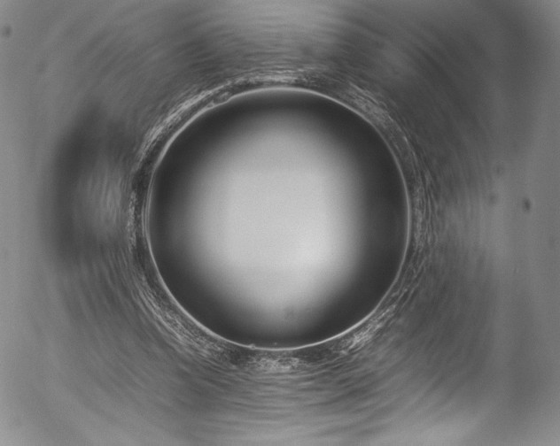 X0000054390346200508011259