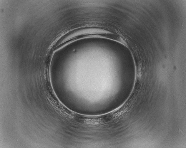 X0000054390347200508011259