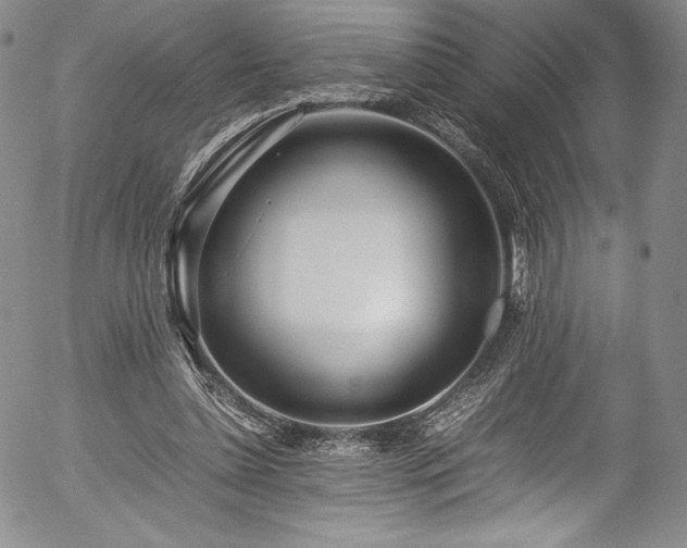 X0000054390348200508011259