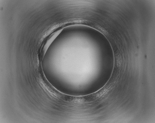 X0000054390350200508011259