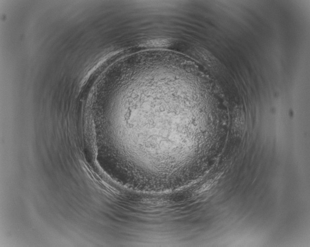 X0000054390351200508011259