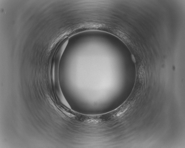 X0000054390352200508011259