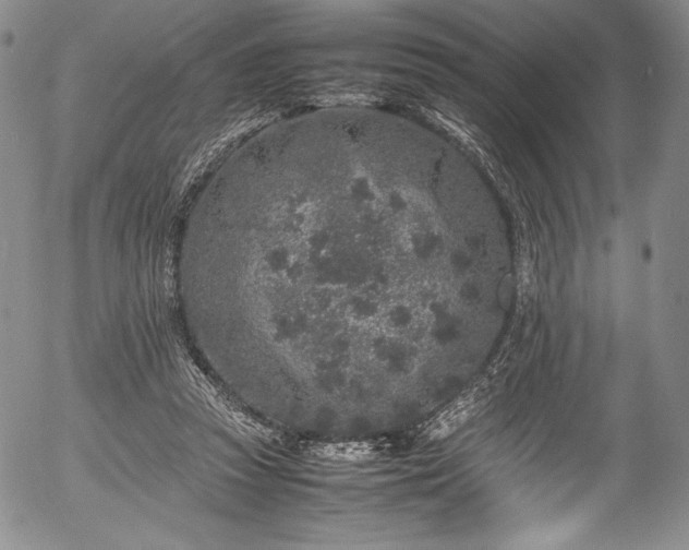 X0000054390353200508011259