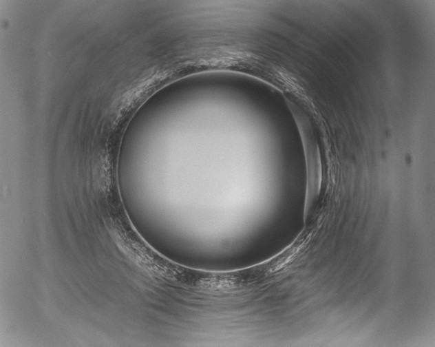 X0000054390354200508011259