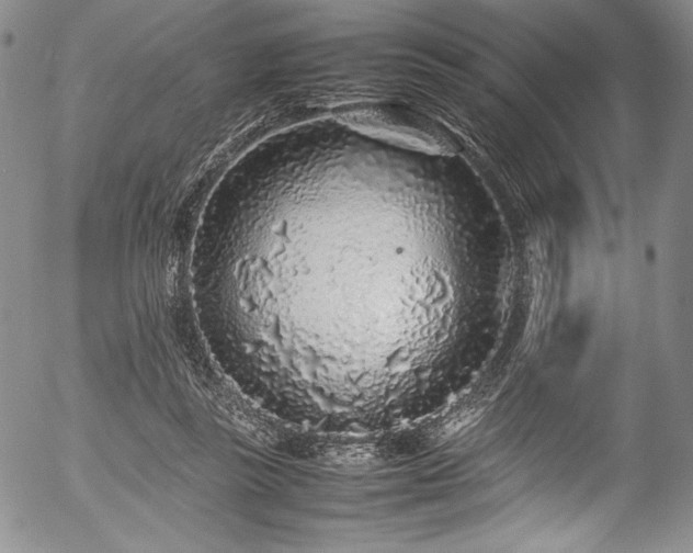 X0000054390355200508011259