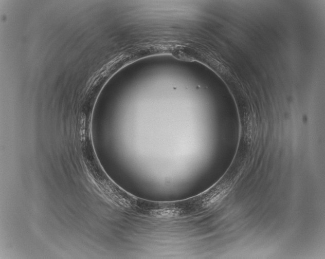 X0000054390356200508011259