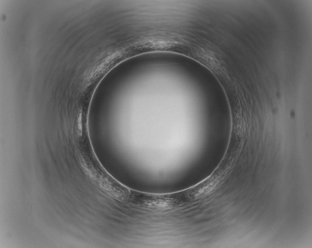 X0000054390358200508011259