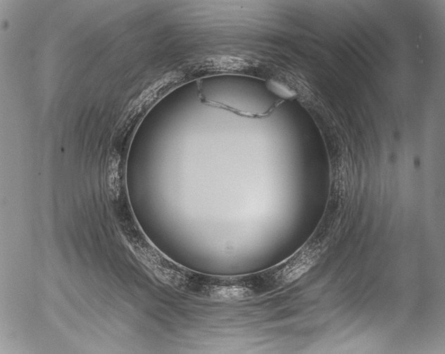 X0000054390360200508011259