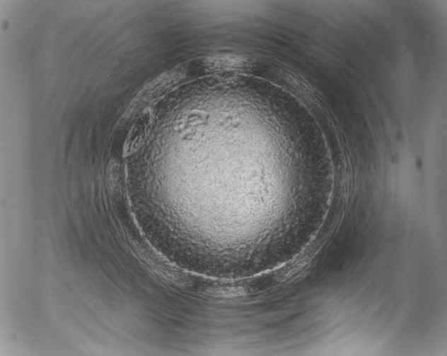 X0000054390361200508011259