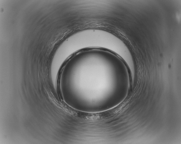 X0000054390362200508011259