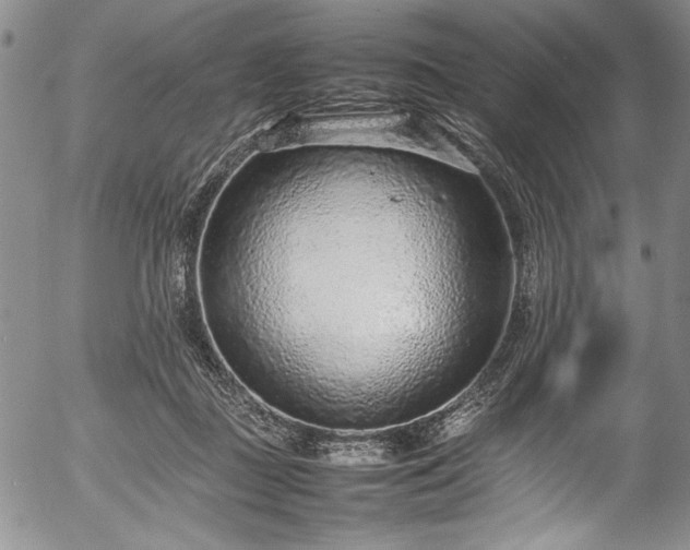 X0000054390363200508011259