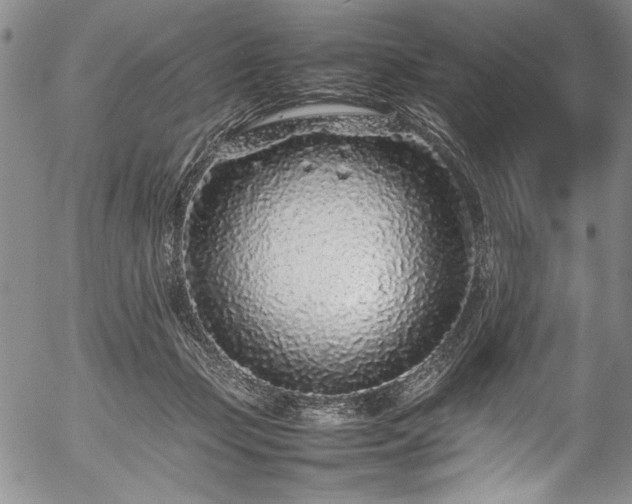 X0000054390365200508011259