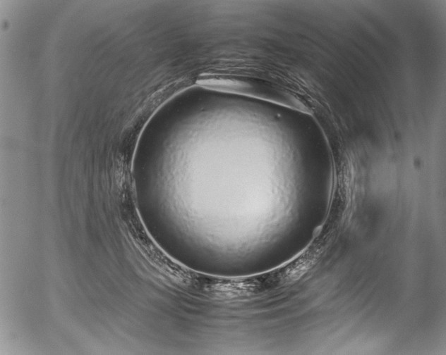 X0000054390367200508011259