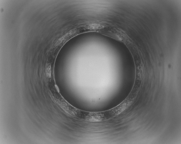 X0000054390368200508011259