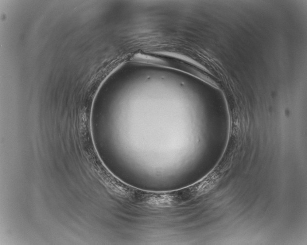 X0000054390369200508011259