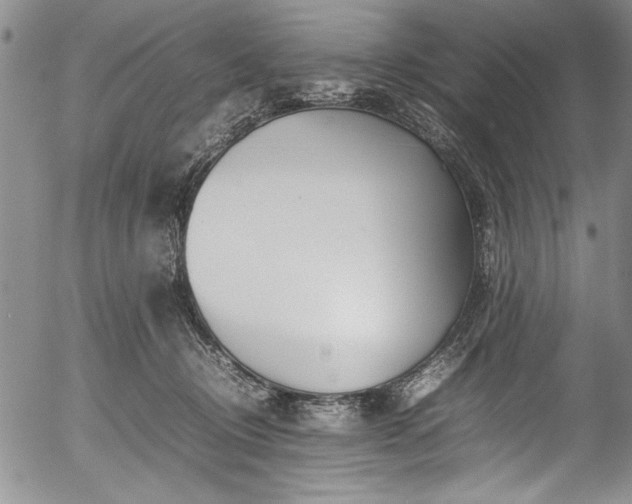 X0000054390370200508011259