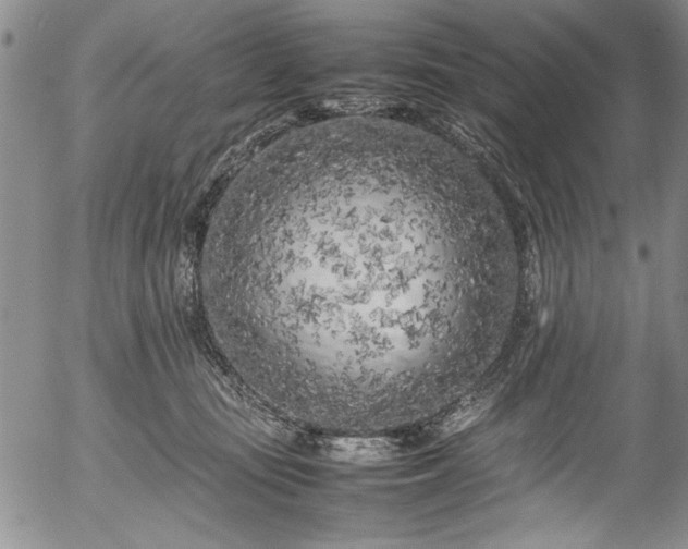 X0000054390371200508011259