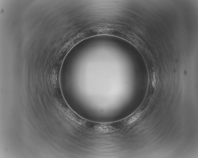 X0000054390372200508011259