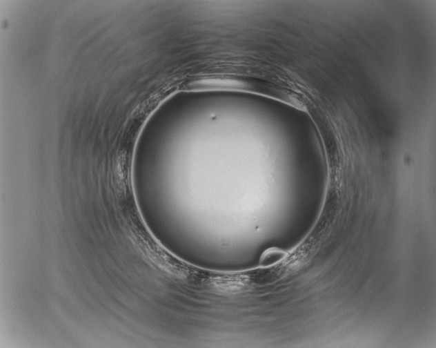 X0000054390373200508011259