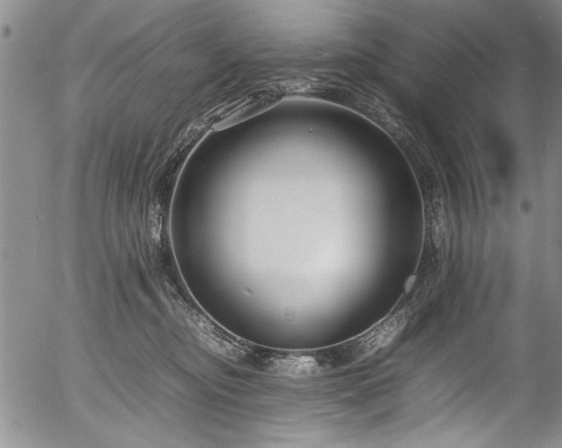 X0000054390374200508011259