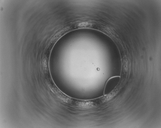 X0000054390375200508011259