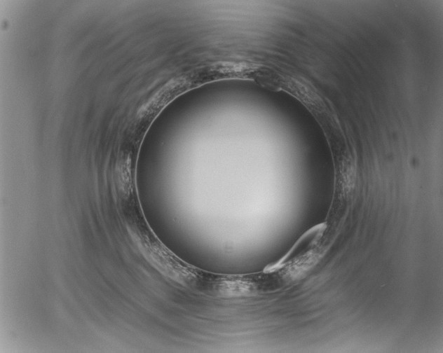 X0000054390376200508011259