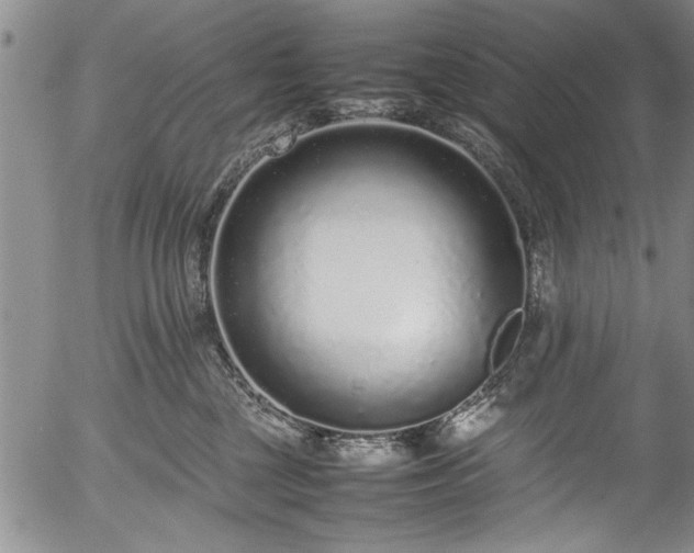 X0000054390377200508011259