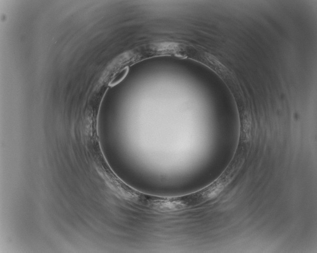 X0000054390379200508011259