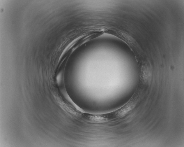 X0000054390380200508011259