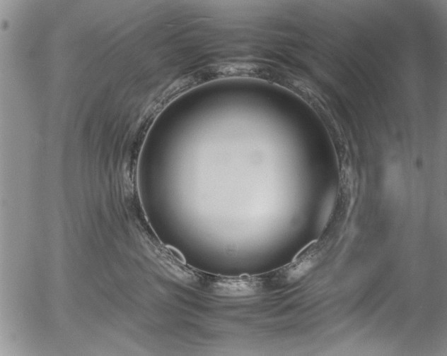 X0000054390381200508011259