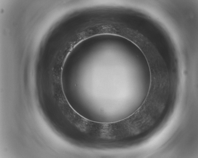 X0000054390382200508011259