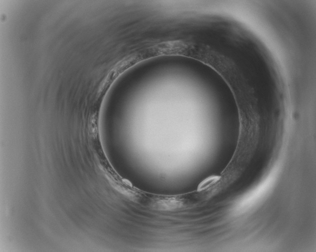 X0000054390383200508011259