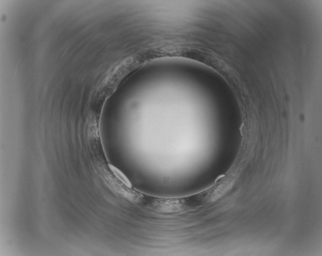 X0000054390384200508011259